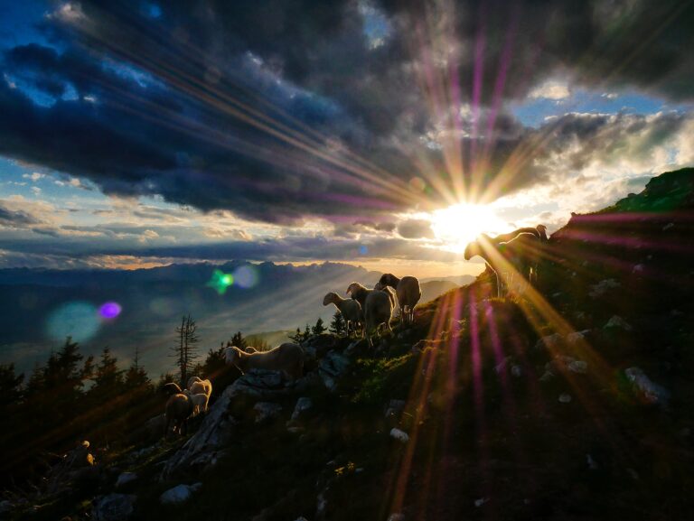 The Awestruck Wonder of the Shepherds at Christmas