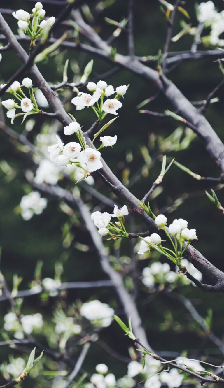 Finding Joy in Newness and Change