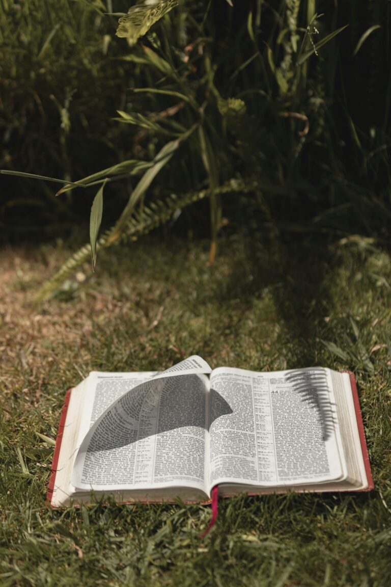 Portrait of a Dinner Guest: Finding Ourselves in Mephibosheth and More