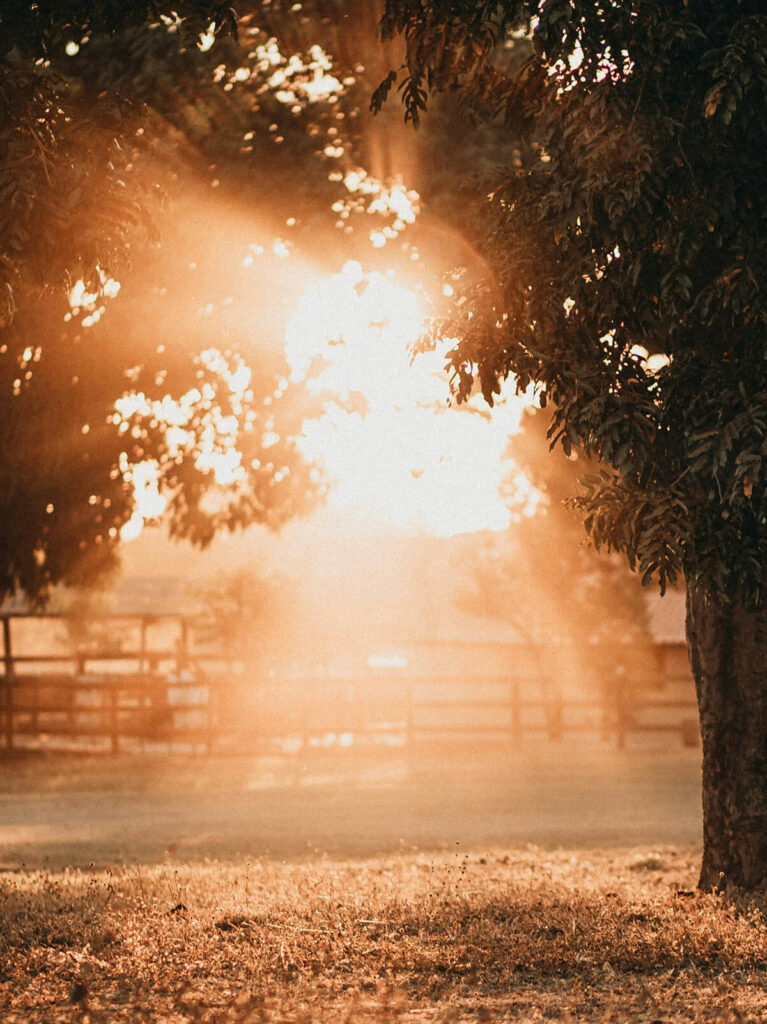 Alan Fadling - Blog - Morning