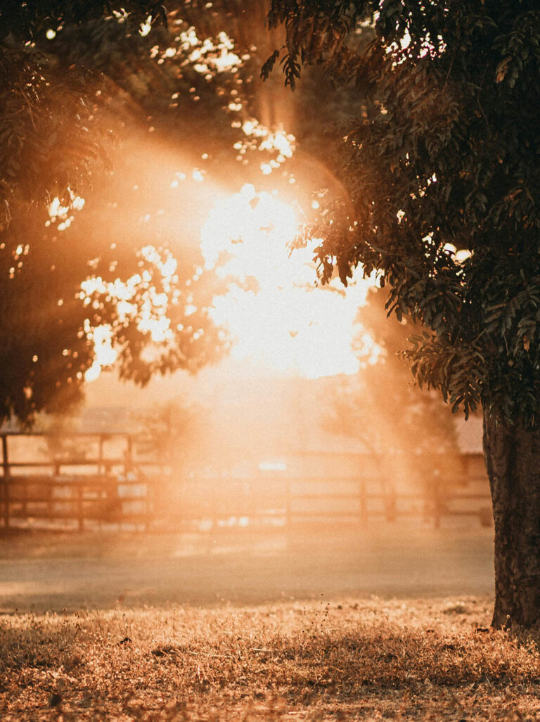 Alan Fadling - Blog - Morning